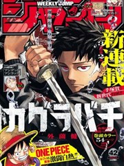 刃牙道宫本武藏篇漫画封面
