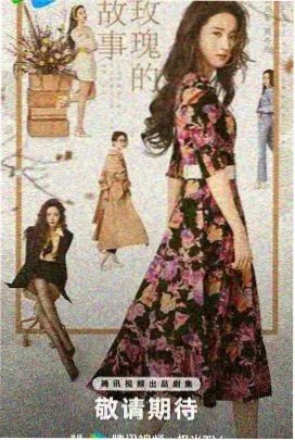 刃牙拳王阿里篇封面